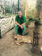 Chirurgische Praxis für Klein- und Heimtiere - Gepard in Narkose zur Künstlichen Besamung