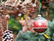 Christbaumverkauf Starnberg by J. Zwick - 37