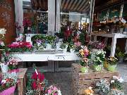 Christian Beller Blumen Beller Marktstand 1 - GALLERY