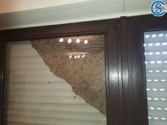 Christian Schneider Schädlingsbekämpfung - GALLERY