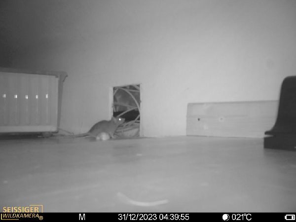 Christian Schneider Schädlingsbekämpfung - GALLERY