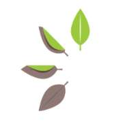 Christiane Ringleb - Praxis PaarErleben - GALLERY