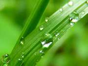 Christine Haider - naturundleben