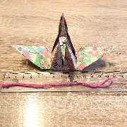 Christoph Meidl - 21