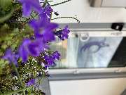 Christopher Weihmann Pflegedienst EllFrieda - GALLERY