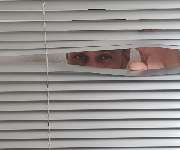 Christos Rollladen- & Fensterservice GmbH - 5