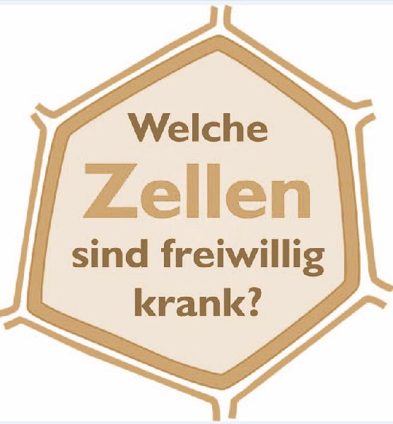 chronischGesund, cell-re-active-training - 5