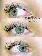 Cindy Leitel Cosmetics - GALLERY