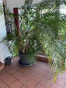 CL Capital Living GmbH - 5