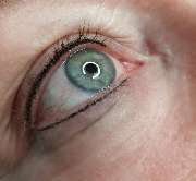 Claudia Nikolic Studio für Permanent Make-up & Fineline-Tattoo - 16