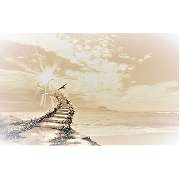 Claudia Schnalke Bestattungsinstitut Schnalke - GALLERY