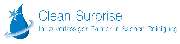 Clean Surprise - 1