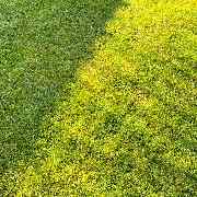 CleanTeam MultiService - GALLERY