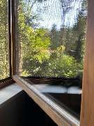 CleanTeam MultiService - GALLERY