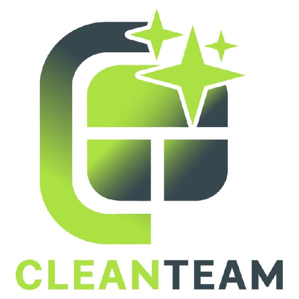 CleanTeam MultiService - LOGO