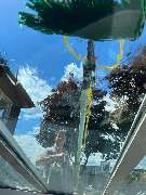 Cleanup Service GmbH - 13