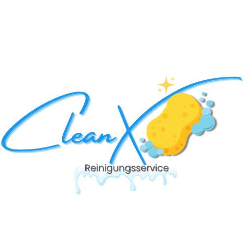 CleanX Schwamm - 1