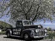 Clear Outs JM Entrümpelungen, Umzüge & Mehr - 3