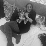 CoBe Dog - 2