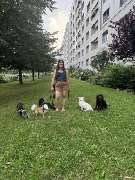 CoBe Dog - 4