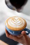 CODOS Coffee - 18