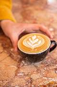 CODOS Coffee - 47