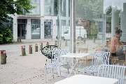 CODOS Coffee - 66