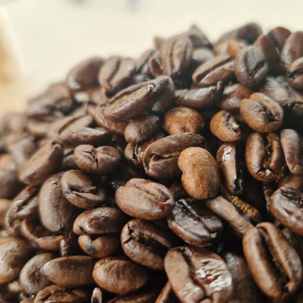 Coffee-Bike - GALLERY