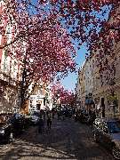 Cologne Bonn Translations I Dr. Patrick Labriola - Cologne Bonn Translations | Dr. Patrick Labriola | Bonn