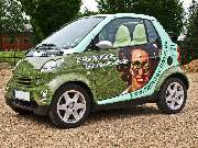 Colorissima Werbung e.K. - GALLERY