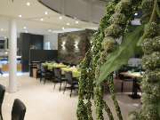 Comfor Hotel - GALLERY