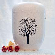 Compact Bestattungen Pankow-Weißensee Inh. Jasmin Schmuck - GALLERY