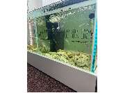 Complementary Physio GmbH - GALLERY