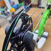 Compound Nation - GALLERY