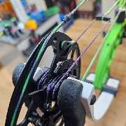 Compound Nation - GALLERY