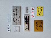 coreku GmbH & Co. KG - GALLERY