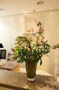 Cornelia Borgs Physiotherapie/Krankengymnastik - GALLERY