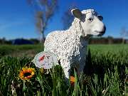 Corvinus-Apotheke - GALLERY