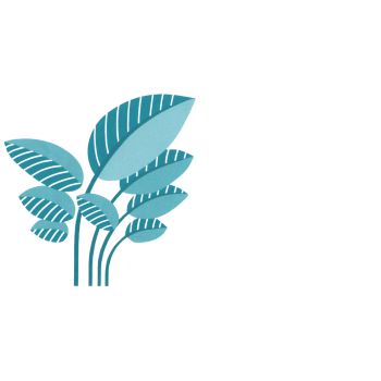 Cothenius Apotheke - Logo der Cothenius Apotheke