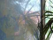 Creativ Design Malerbetrieb - 12