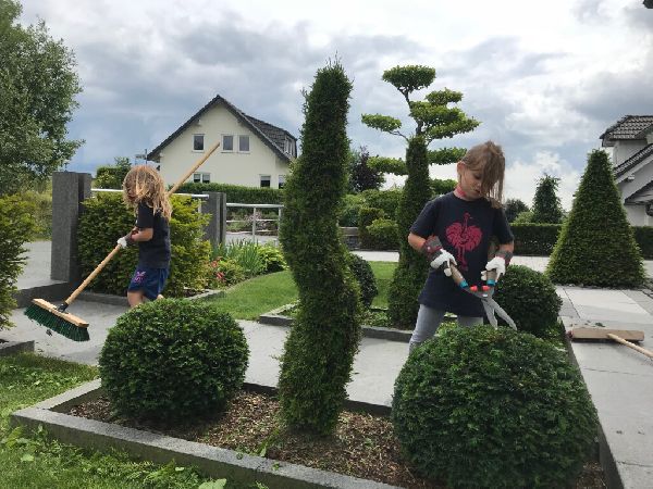 CREATIVE GARDEN - 2