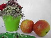 CRS Clinical Research Services Wuppertal GmbH - 2