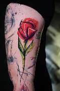 Crush Tattoo - GALLERY
