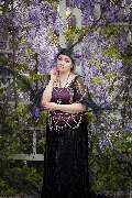 Crystal Moon Photography & Art - GALLERY
