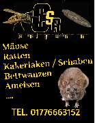 CSA Schädlingsbekämpfung - GALLERY
