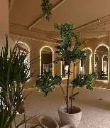 Cute Core - Pilates Studio - GALLERY