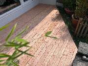 D.S. Rund ums Holz - IMG-20250626-WA0069.jpg