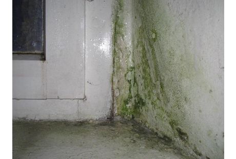 Dach Komplett Keidel - GALLERY