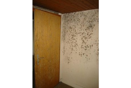 Dach Komplett Keidel - GALLERY