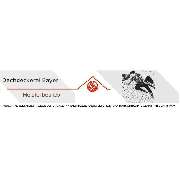 Dachdeckerei Bayer - LOGO